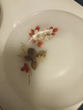 16 Platos Porcelana Variados