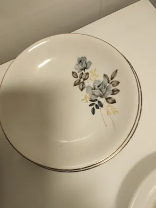 16 Platos Porcelana Variados