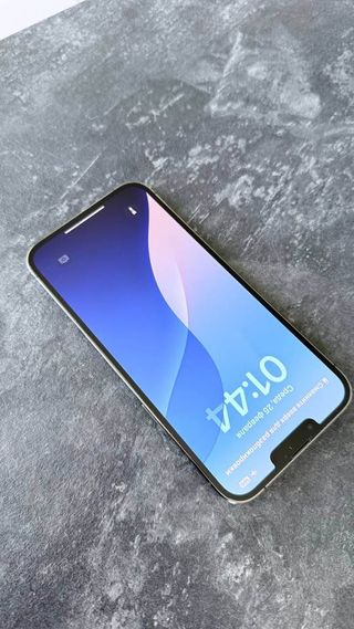 iPhone 13 Pro Max 256 GB