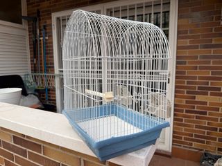 Jaula para pájaros blanca y azul