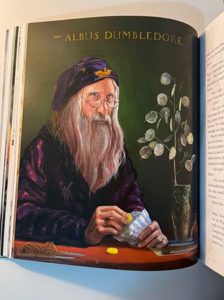 Harry Potter y la piedra filosofal (Tapa blanda...