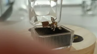 Charm Dumbo Plata 925 Rosa y Plateado