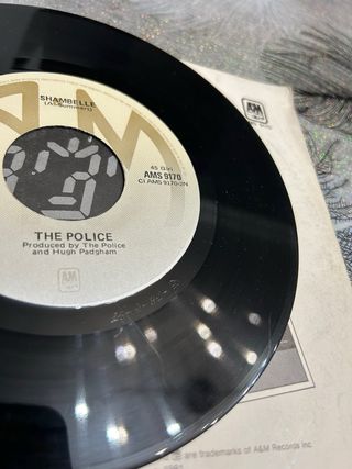 The Police 45 Giri Every Little Thing She Does Is