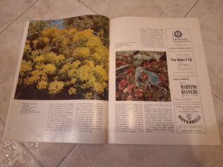 Rivista "Il Giardino Fiorito" - Febbraio 1967