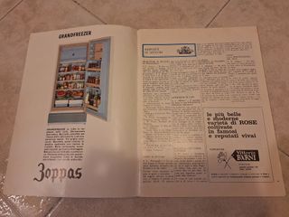 Rivista "Il Giardino Fiorito" - Febbraio 1967