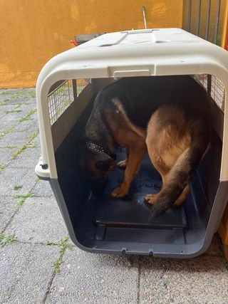 Jaula Transportadora Perro Grande IATA