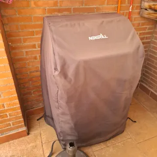 Barbacoa de gas plateada