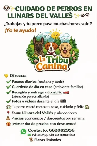 Paseos y cuidado para perros
