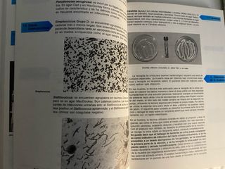 Libro “Análisis clínicos 2” Prácticas Laboratorio
