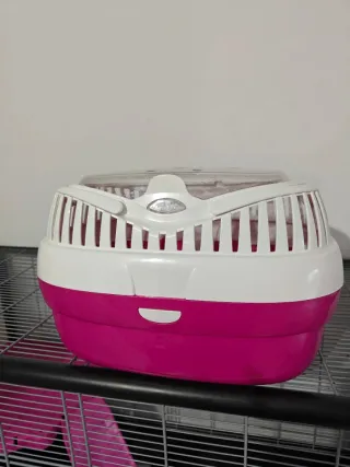 Transportín pequeño