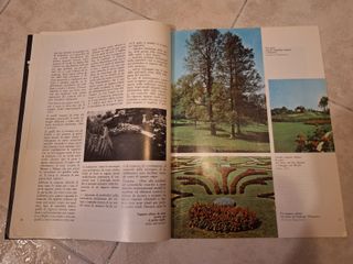 Rivista "Il Giardino Fiorito" - Febbraio 1968