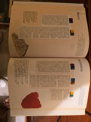 Libro Soluciones Naturales en la Edad de Oro