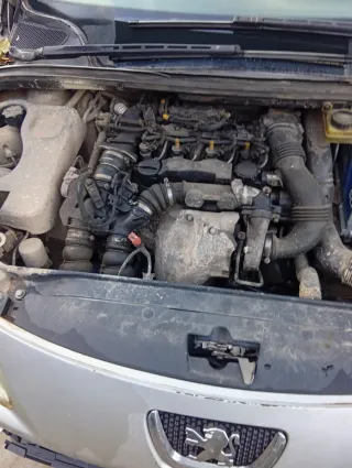 Peugeot 307 2007