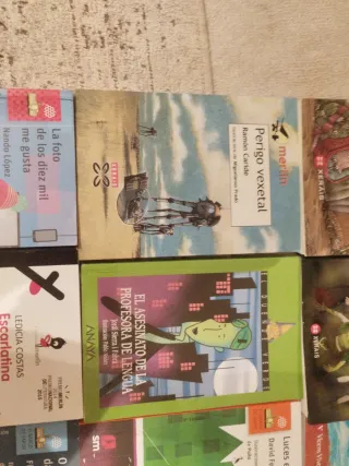 Libros para leer entre 4 de primaria y 1 de la ESO