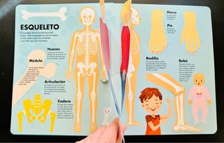 El cuerpo humano pop up Explora y aprende