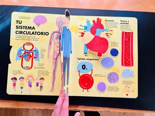 El cuerpo humano pop up Explora y aprende