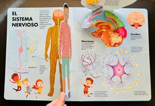 El cuerpo humano pop up Explora y aprende