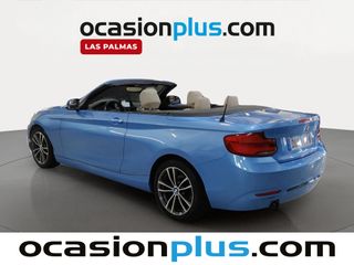 BMW Serie 2 218i Cabrio 100 kW (136 CV)