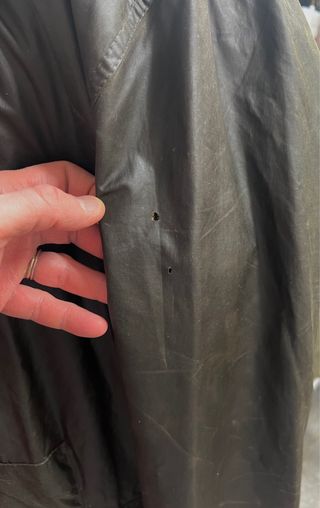 Barbour Border Verde C42/107