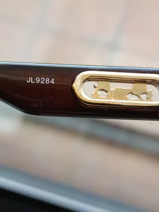 Gafas de Sol Hermès Carey JL9284