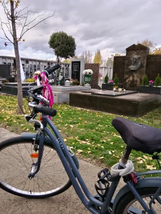 Bicicleta Elops