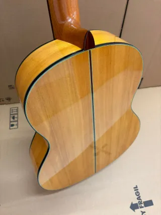 Guitarra Flamenca amplificada con previo MD100