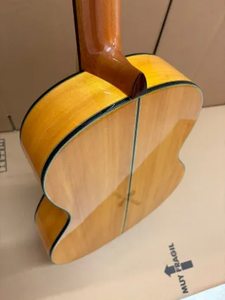 Guitarra Flamenca amplificada con previo MD100