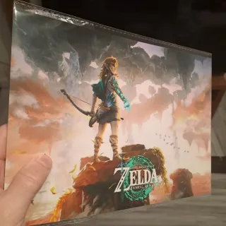 Lote Zelda Tears Kingdom + Resident Evil