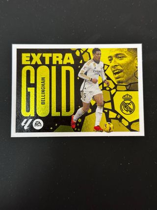 Cromo Extra Gold Bellingham