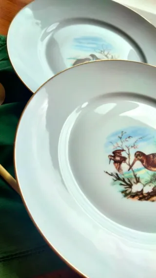 2 piatti Uccelli Richard Ginori vintage