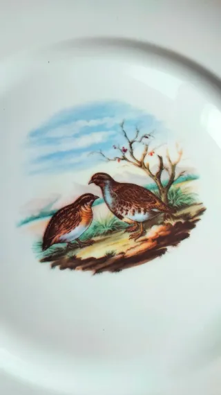 2 piatti Uccelli Richard Ginori vintage