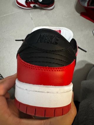 Nike Dunk SB Chicago