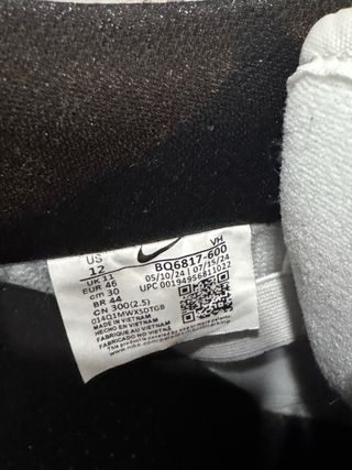 Nike Dunk SB Chicago