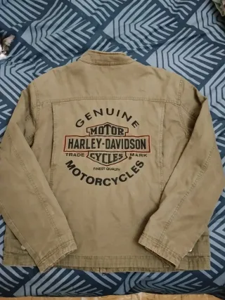 Chaqueta Harley-Davidson Beige