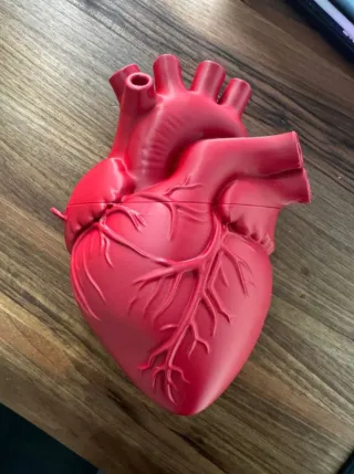 Borsa Cuore Anatomico 3D