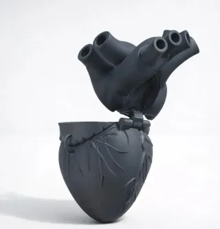 Borsa Cuore Anatomico 3D