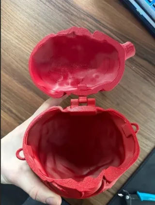 Borsa Cuore Anatomico 3D