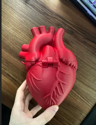 Borsa Cuore Anatomico 3D
