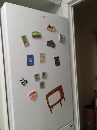 Frigorífico. Lavavajillas. Campana  Congelador .