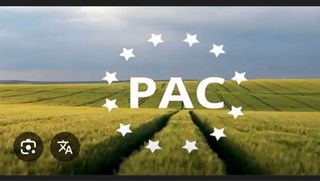 Derechos PAC Región 1