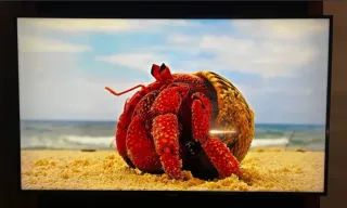 TV Samsung 50" UHD 4K Smart TV Wifi.Nueva