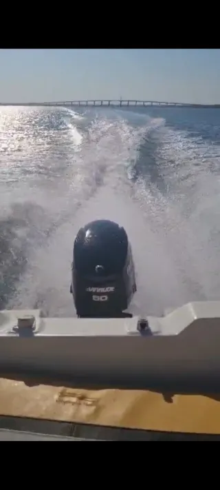 Motor fueraborda Evinrude 50cv 2T Inyección