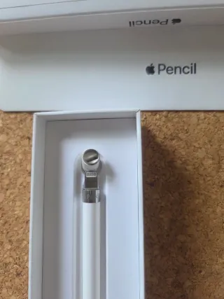 Apple Pencil 1ª Generación