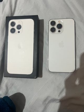 iPhone 13 Pro 256GB Plata 79% Batería