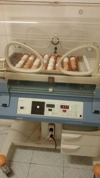 Incubadora de huevos Dräger 8000 NC