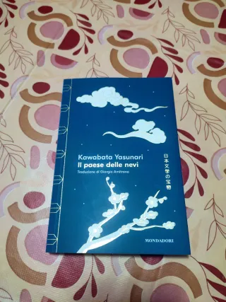 Libro " Il Paese delle nevi"