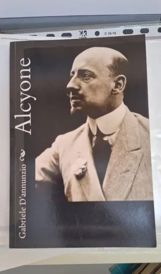 Libro Alcyone