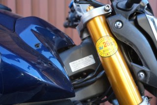 Yamaha FZ1 2007