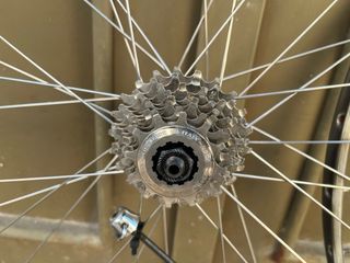 Cerchi Campagnolo Sigma