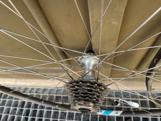 Cerchi Campagnolo Sigma